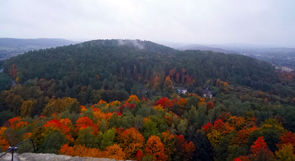 Widok z baszty zachodniej