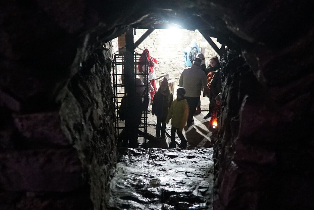 W piwnicach Domu Wielkiego